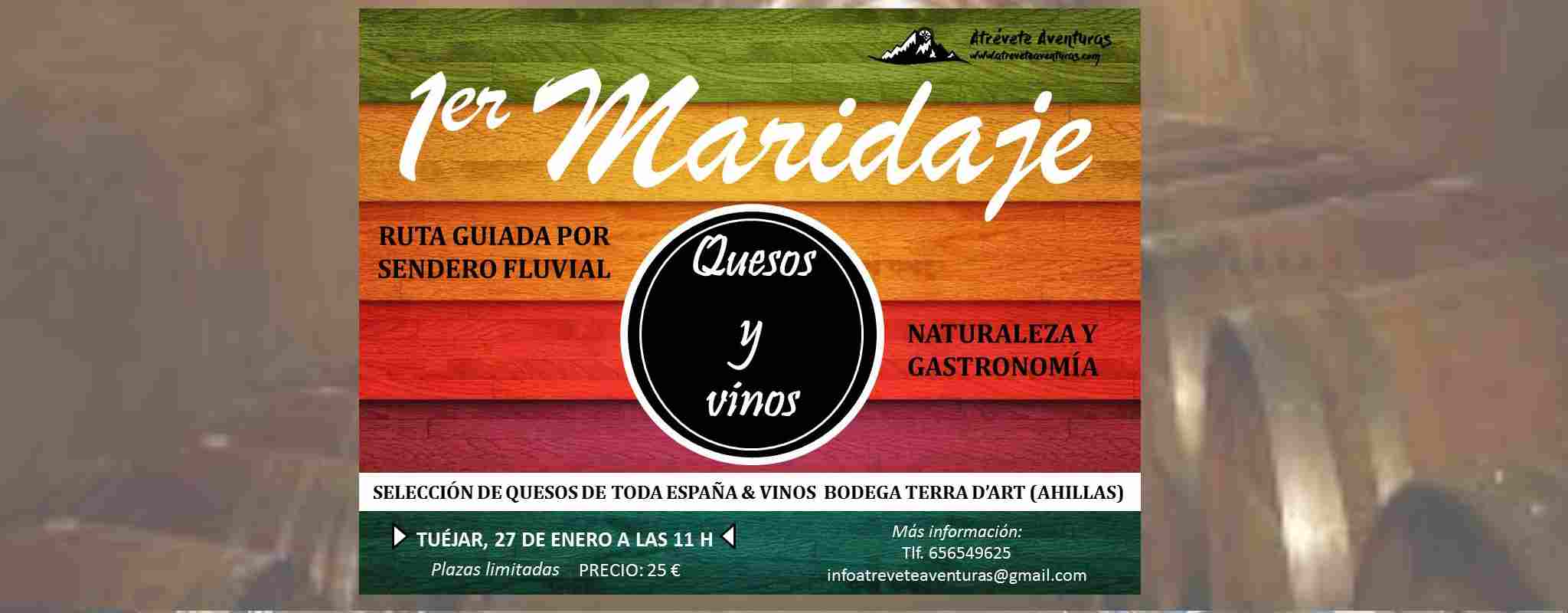 Excusión con maridaje en el Alto Turia, Quesos y Vinos